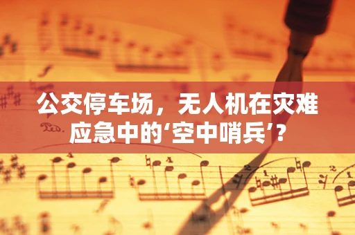 公交停车场，无人机在灾难应急中的‘空中哨兵’？