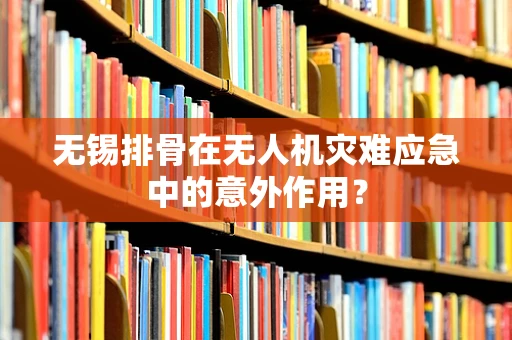 无锡排骨在无人机灾难应急中的意外作用？