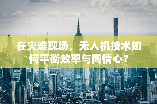 在灾难现场，无人机技术如何平衡效率与同情心？