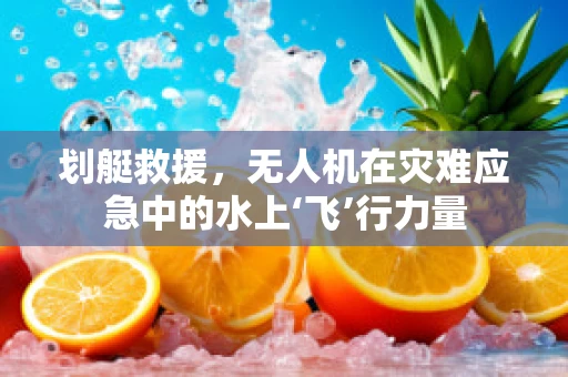 划艇救援，无人机在灾难应急中的水上‘飞’行力量