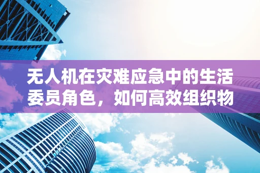 无人机在灾难应急中的生活委员角色，如何高效组织物资分配？