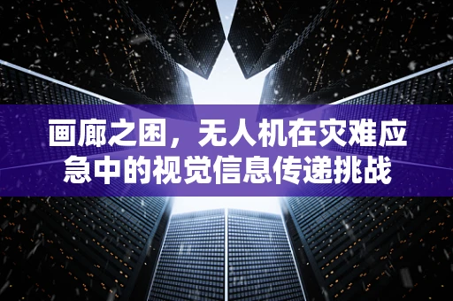 画廊之困，无人机在灾难应急中的视觉信息传递挑战