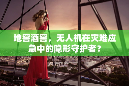 地窖酒窖，无人机在灾难应急中的隐形守护者？