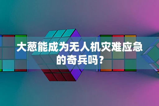 大葱能成为无人机灾难应急的奇兵吗？
