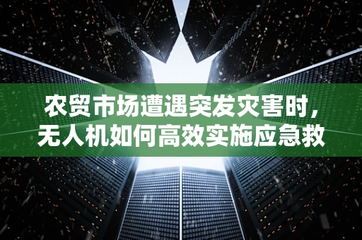 农贸市场遭遇突发灾害时，无人机如何高效实施应急救援？