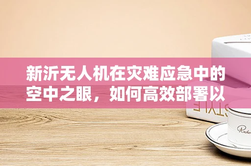 新沂无人机在灾难应急中的空中之眼，如何高效部署以提升救援效率？