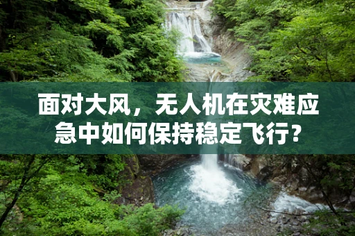 面对大风，无人机在灾难应急中如何保持稳定飞行？