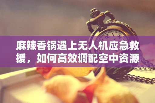 麻辣香锅遇上无人机应急救援，如何高效调配空中资源？