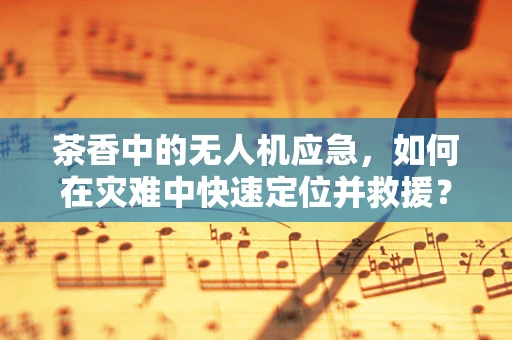 茶香中的无人机应急，如何在灾难中快速定位并救援？
