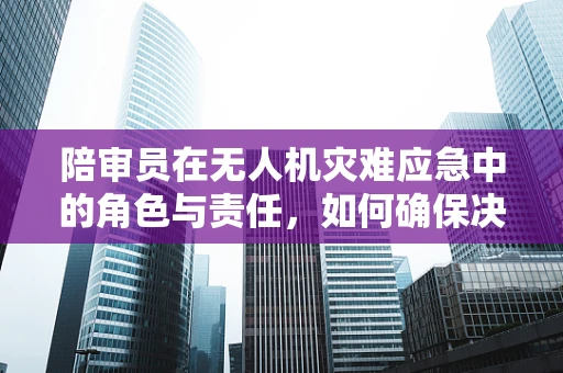 陪审员在无人机灾难应急中的角色与责任，如何确保决策的精准与迅速？