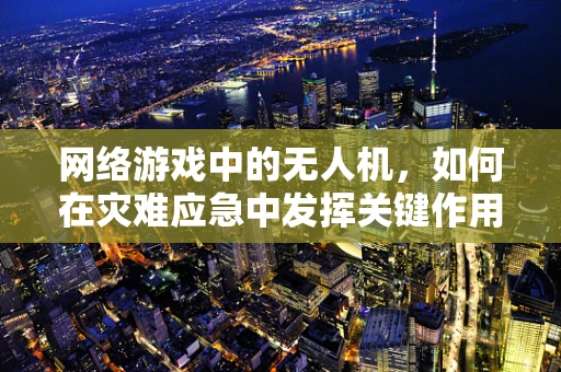 网络游戏中的无人机，如何在灾难应急中发挥关键作用？