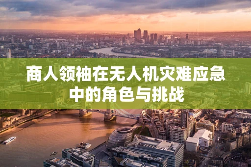 商人领袖在无人机灾难应急中的角色与挑战