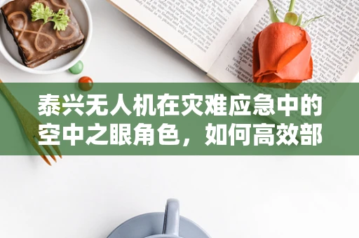 泰兴无人机在灾难应急中的空中之眼角色，如何高效部署以提升救援效率？