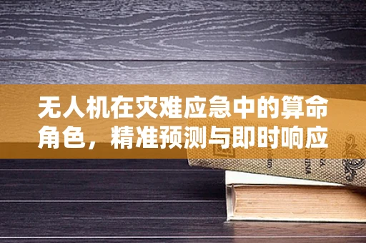 无人机在灾难应急中的算命角色，精准预测与即时响应的挑战
