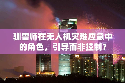 驯兽师在无人机灾难应急中的角色，引导而非控制？