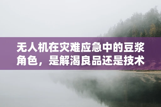 无人机在灾难应急中的豆浆角色，是解渴良品还是技术助力？
