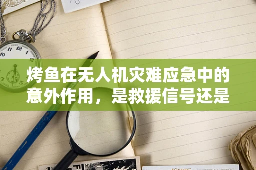 烤鱼在无人机灾难应急中的意外作用，是救援信号还是新挑战？