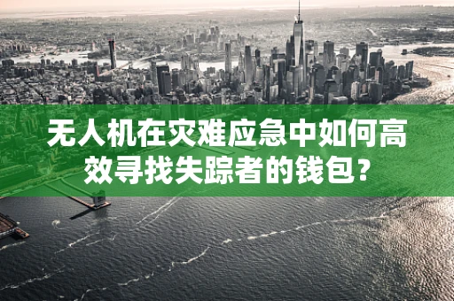 无人机在灾难应急中如何高效寻找失踪者的钱包？