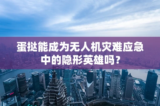蛋挞能成为无人机灾难应急中的隐形英雄吗？