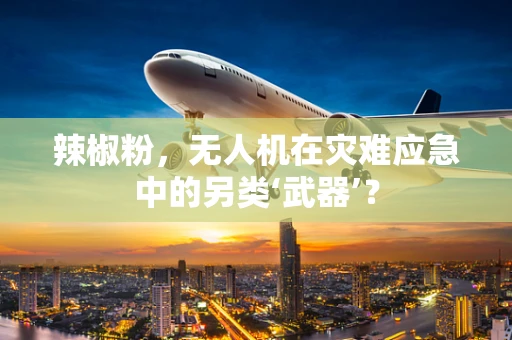 辣椒粉，无人机在灾难应急中的另类‘武器’？