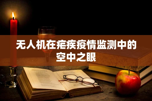 无人机在疟疾疫情监测中的空中之眼