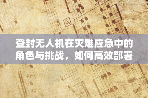 登封无人机在灾难应急中的角色与挑战，如何高效部署？