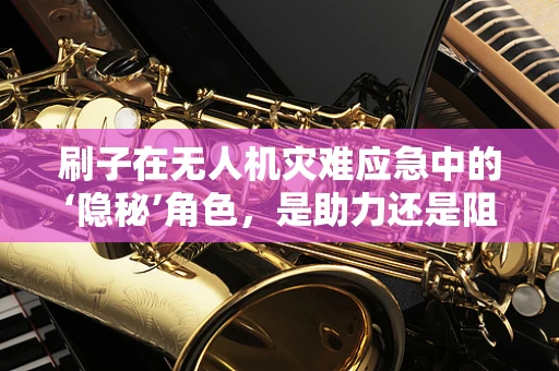刷子在无人机灾难应急中的‘隐秘’角色，是助力还是阻碍？