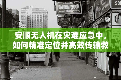 安顺无人机在灾难应急中，如何精准定位并高效传输救援信息？
