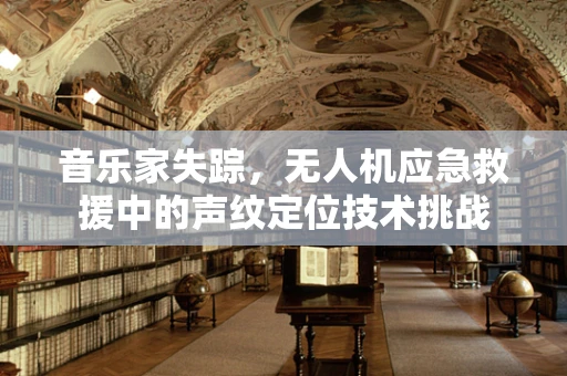 音乐家失踪，无人机应急救援中的声纹定位技术挑战