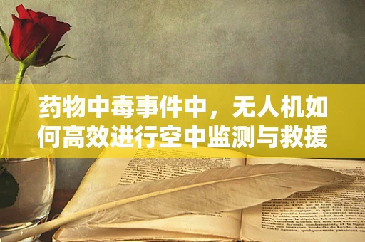 药物中毒事件中，无人机如何高效进行空中监测与救援？