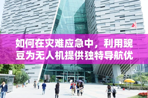 如何在灾难应急中，利用豌豆为无人机提供独特导航优势？