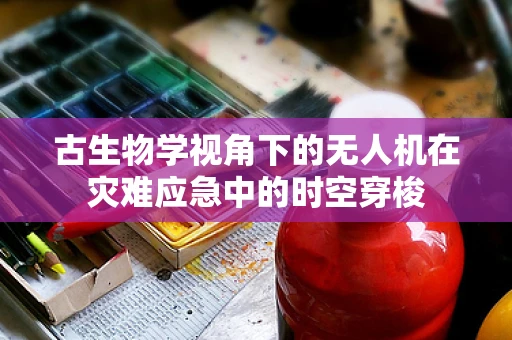 古生物学视角下的无人机在灾难应急中的时空穿梭