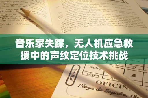 音乐家失踪，无人机应急救援中的声纹定位技术挑战