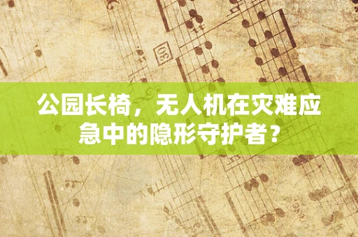 公园长椅，无人机在灾难应急中的隐形守护者？
