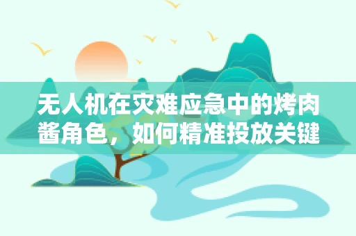 无人机在灾难应急中的烤肉酱角色，如何精准投放关键物资？