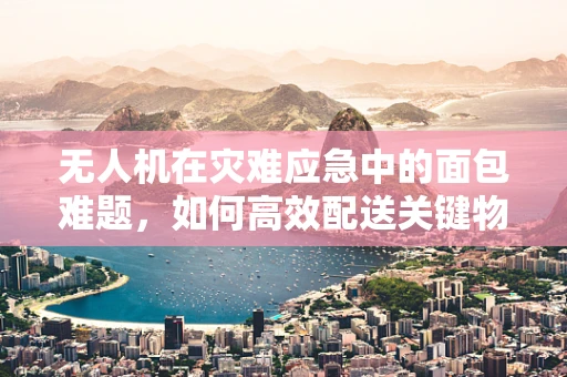 无人机在灾难应急中的面包难题，如何高效配送关键物资？