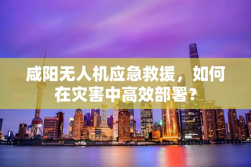 咸阳无人机应急救援，如何在灾害中高效部署？