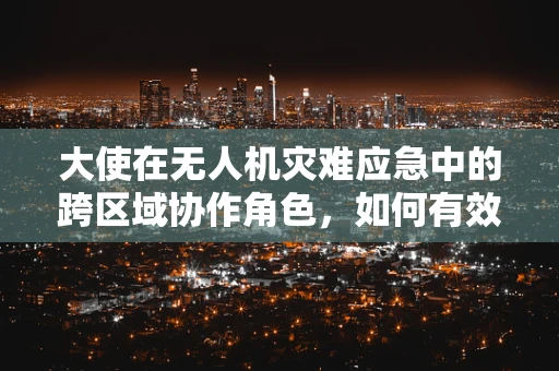 大使在无人机灾难应急中的跨区域协作角色，如何有效沟通与协调？