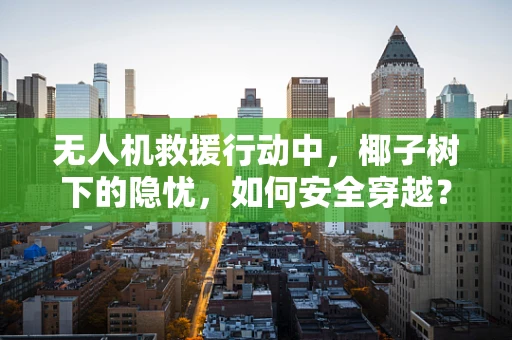 无人机救援行动中，椰子树下的隐忧，如何安全穿越？