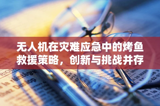 无人机在灾难应急中的烤鱼救援策略，创新与挑战并存？