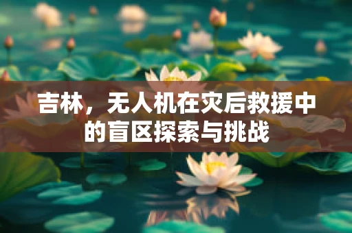吉林，无人机在灾后救援中的盲区探索与挑战