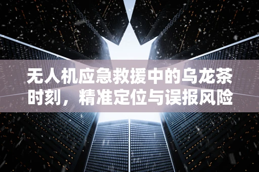 无人机应急救援中的乌龙茶时刻，精准定位与误报风险如何平衡？