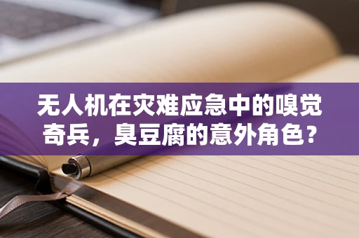 无人机在灾难应急中的嗅觉奇兵，臭豆腐的意外角色？