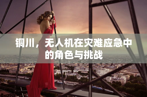 铜川，无人机在灾难应急中的角色与挑战