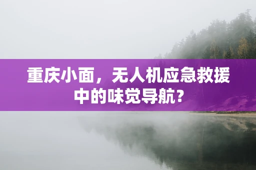 重庆小面，无人机应急救援中的味觉导航？