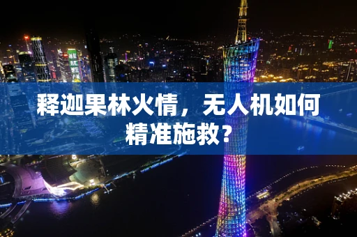 释迦果林火情，无人机如何精准施救？