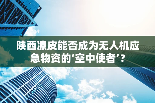 陕西凉皮能否成为无人机应急物资的‘空中使者’？