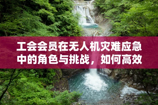 工会会员在无人机灾难应急中的角色与挑战，如何高效协作？