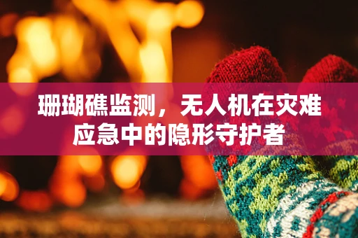 珊瑚礁监测，无人机在灾难应急中的隐形守护者