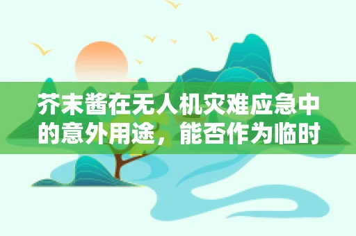 芥末酱在无人机灾难应急中的意外用途，能否作为临时救援物资？